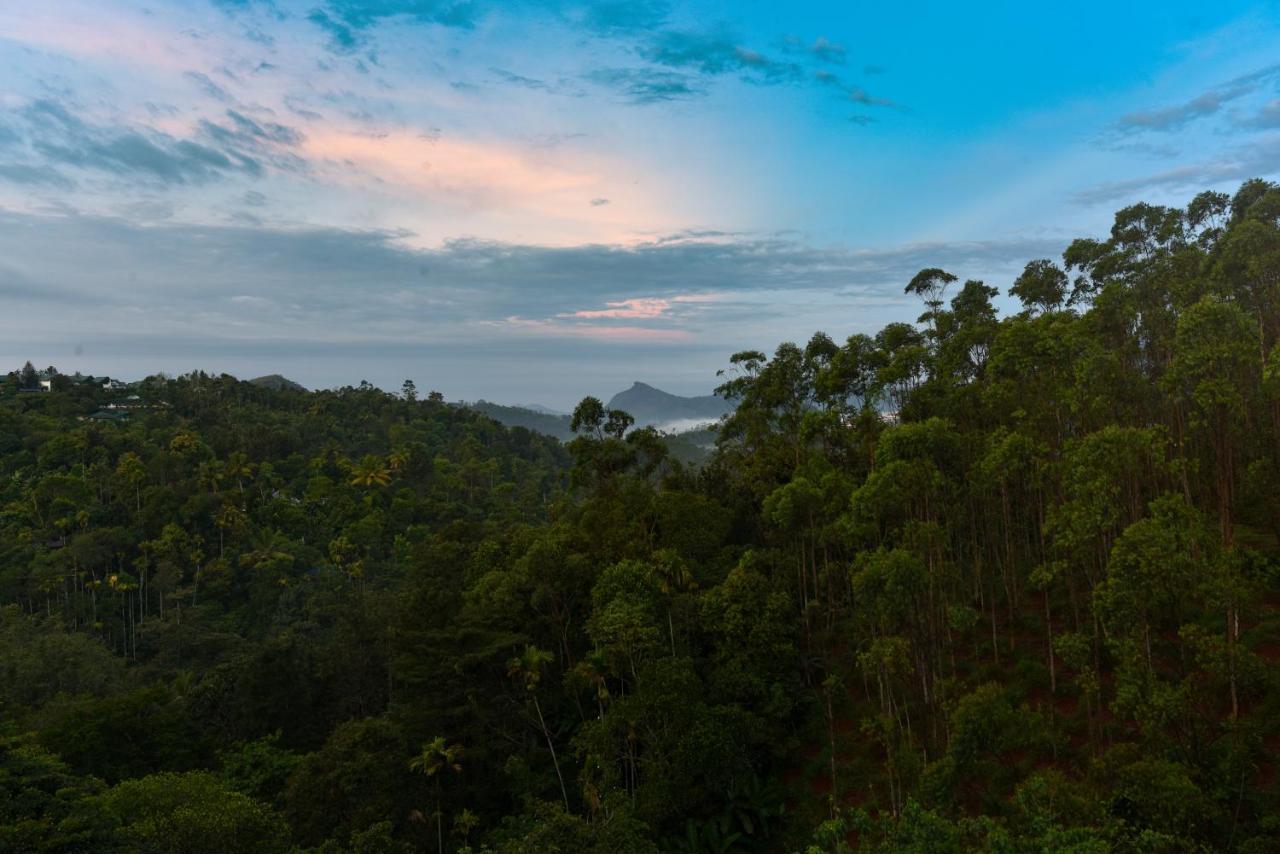 Hotel White House, Munnar Luaran gambar