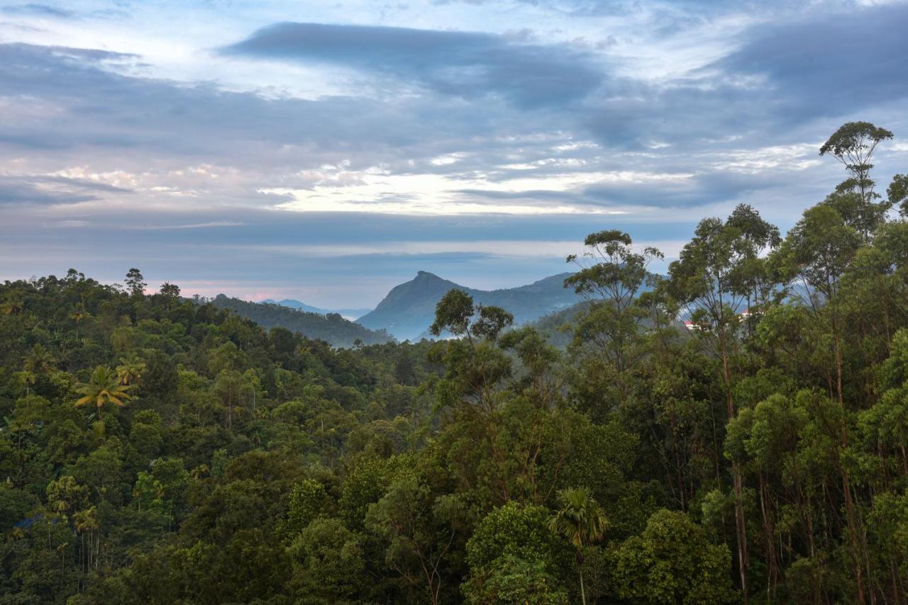 Hotel White House, Munnar Luaran gambar